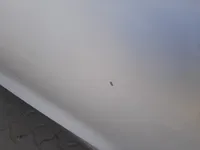 الباب الخلفى الأيسر