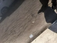 الباب الخلفى الأيسر