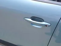 الباب الأمامى الأيسر