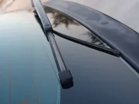 Rear left door