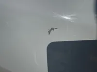 الباب الخلفى الأيمن