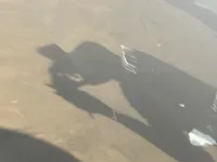 الباب الخلفى الأيسر