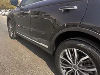 Rear left door