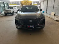 More images