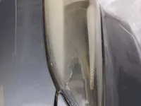 الأنوار الأمامية اليسار