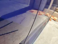 الباب الخلفى الأيمن