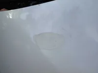 Bonnet