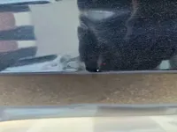 الباب الخلفى الأيمن