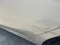 Rear left door