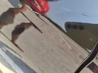 الباب الخلفى الأيمن