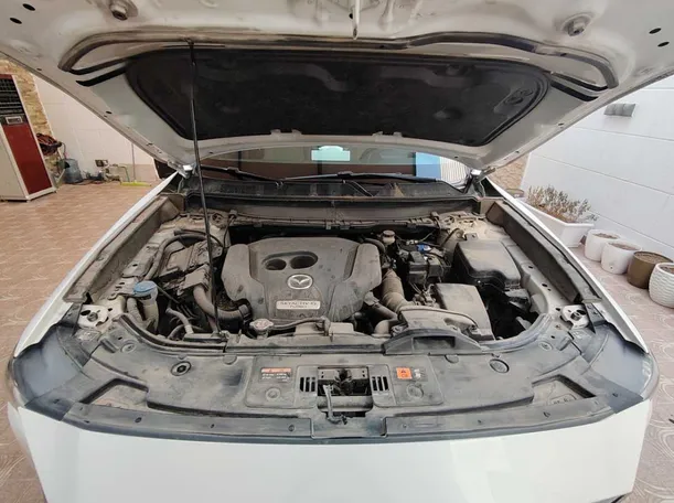 Car image 31