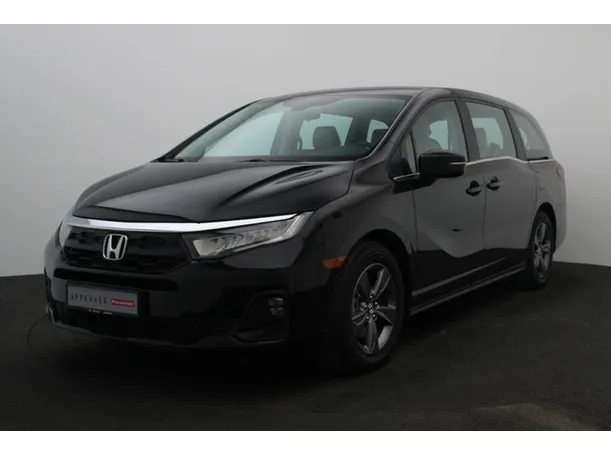 2025 هوندا اوديسي في الإمارات