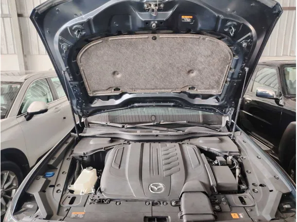 Car image 35