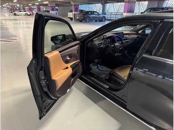Car image 10