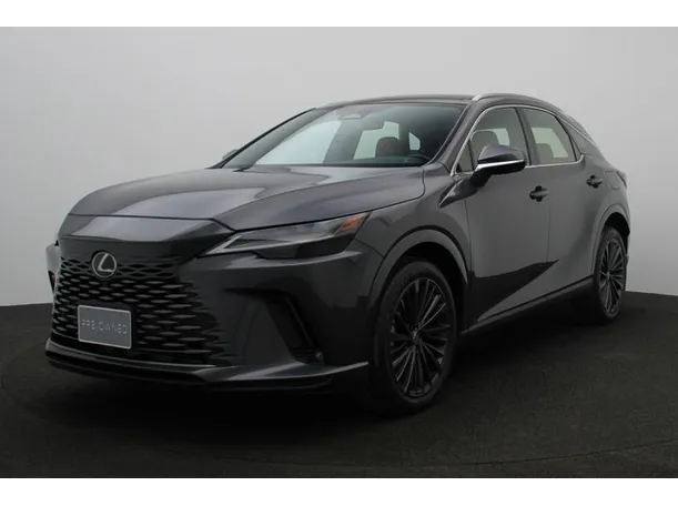 2023 Lexus RX350 in UAE