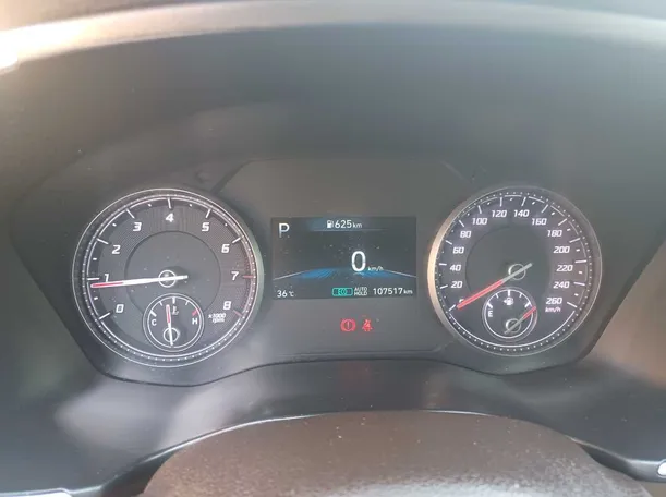 Car image 19