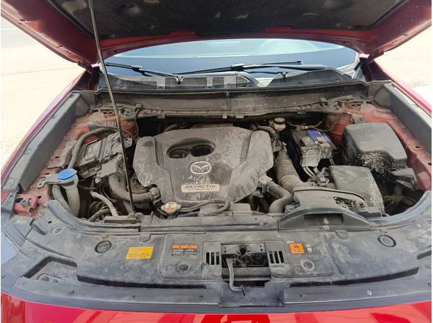 Car image 30