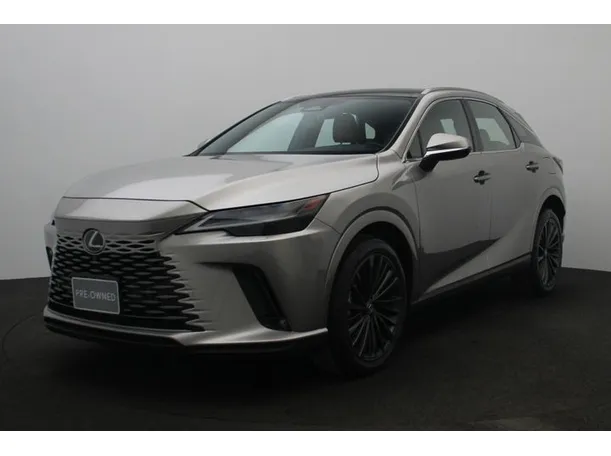 2025 Lexus RX350 in Dubai