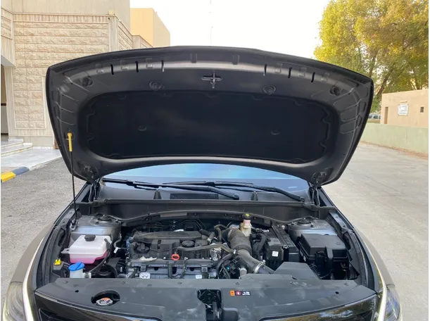 Car image 25