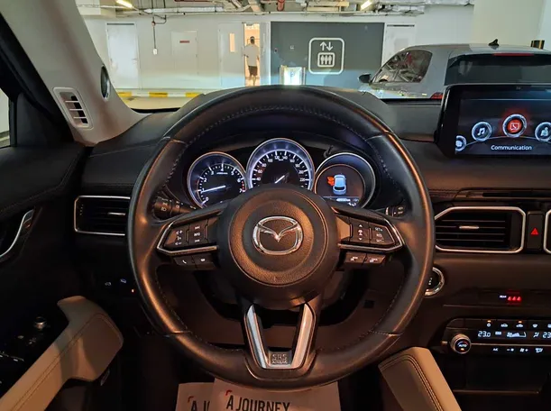 Car image 19