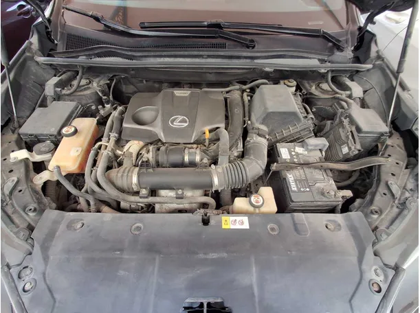 Car image 20