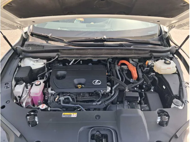 Car image 19