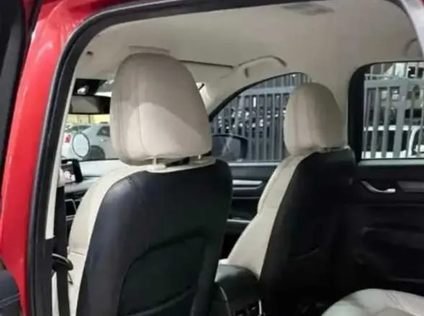Car image 10