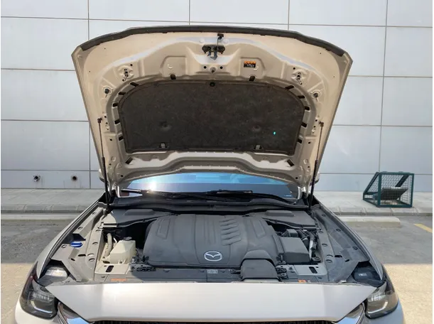 Car image 29