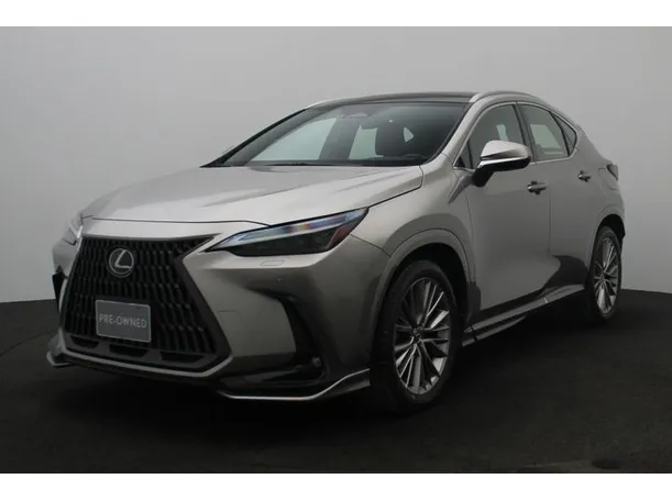 2024 Lexus NX350h in Dubai