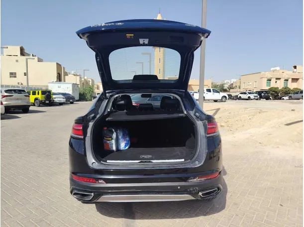 Car image 24