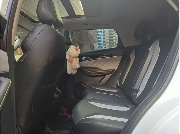 Car image 13