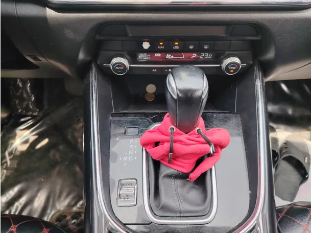 Car image 20