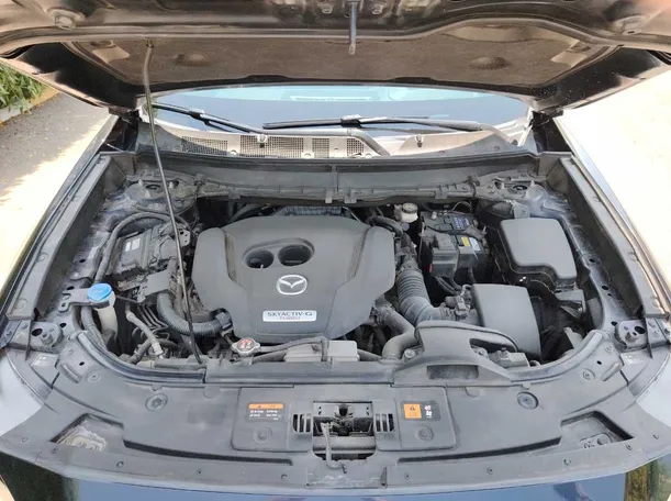 Car image 41