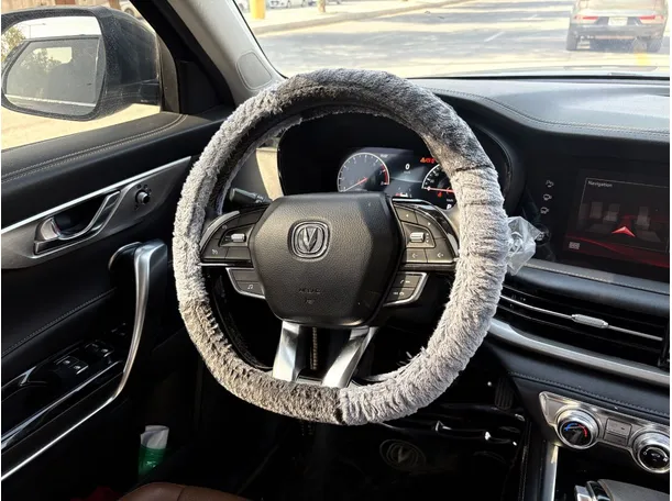 Car image 22