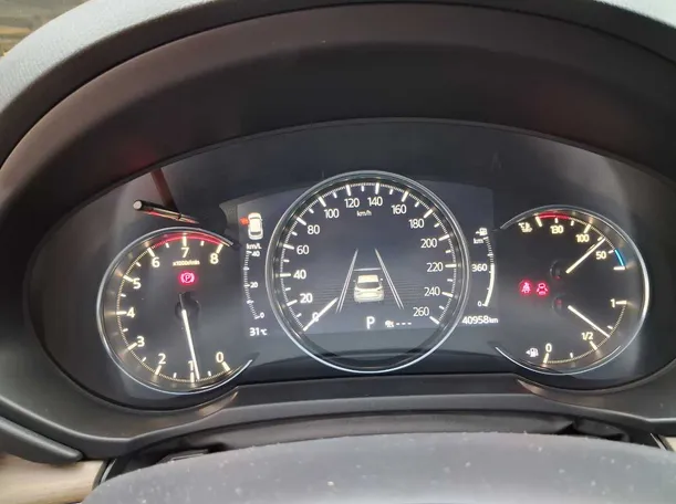 Car image 19