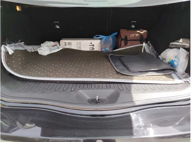 Car image 24