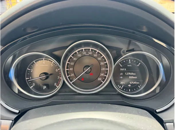Car image 19
