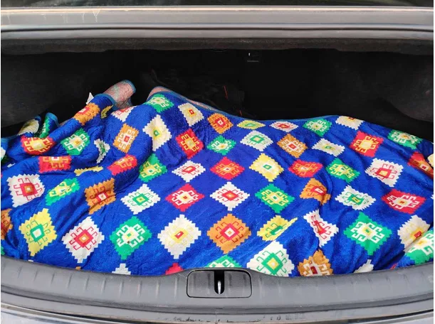 Car image 26