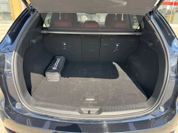 Car image 19