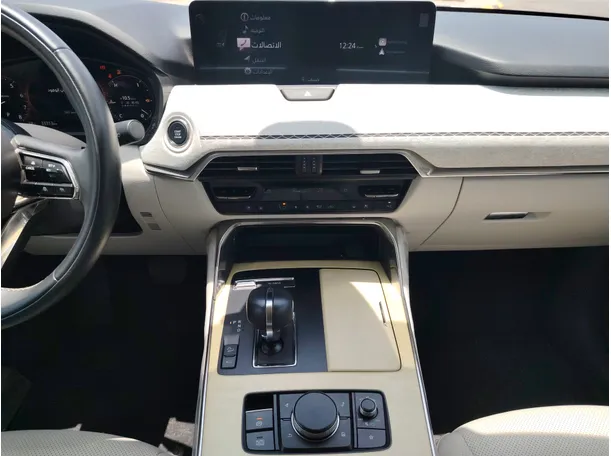 Car image 19