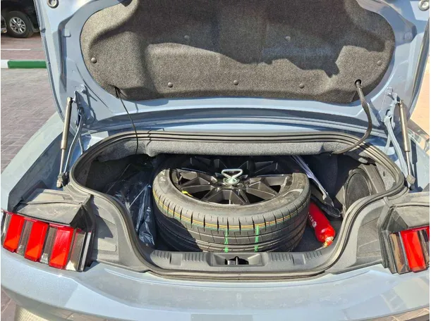 Car image 20