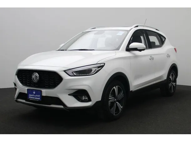 mg