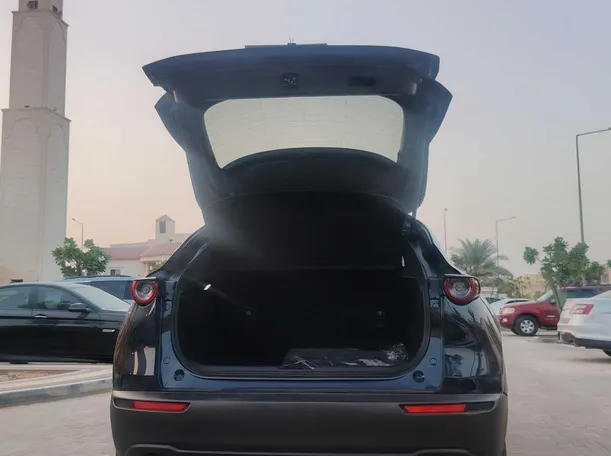 Car image 20