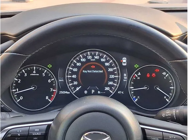 Car image 20
