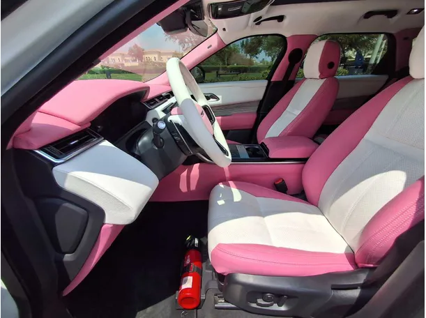 Car image 12