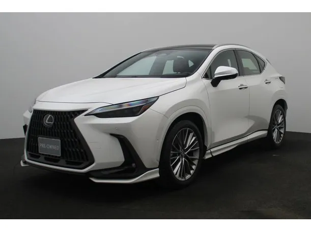 2025 Lexus NX350h in Dubai
