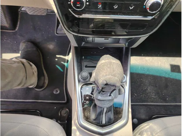 Car image 20