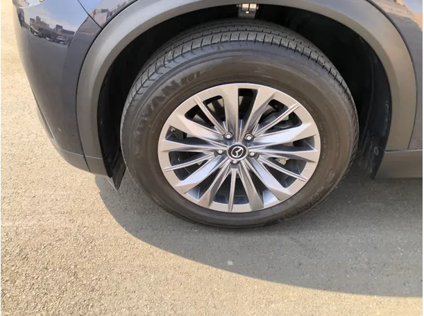 Car image 10