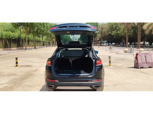 Car image 20