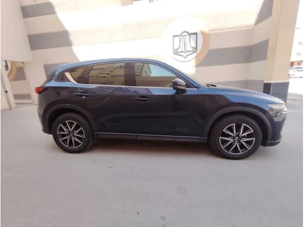 Car image 4